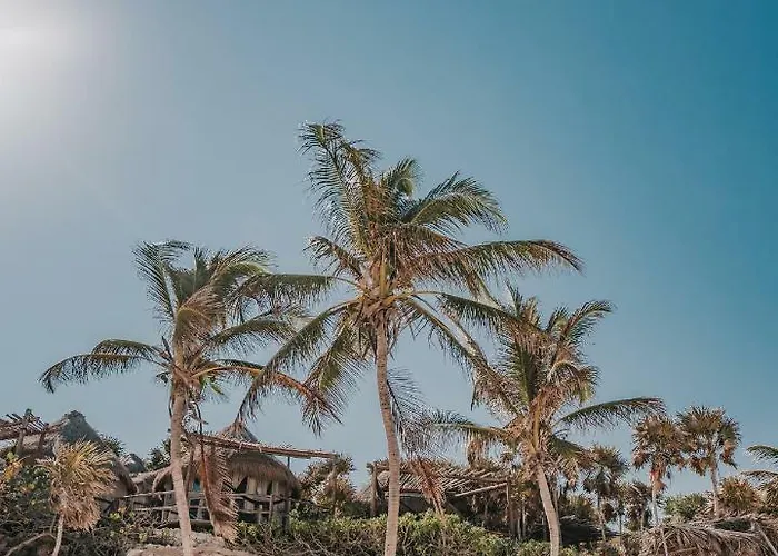 Papaya Playa Project, Tulum, A Member Of Design 5* Tulum